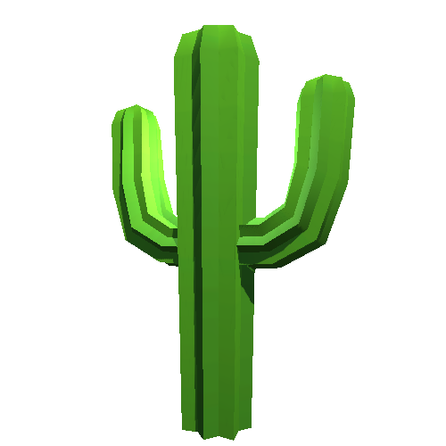 Cactus 04